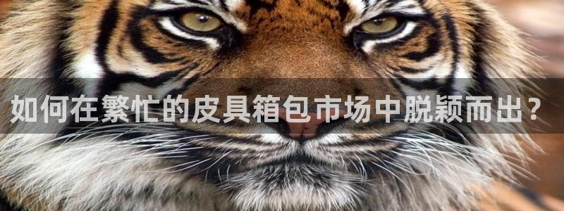 临平富邦佳丽娱乐会所