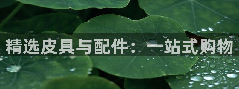 富邦娱乐app那里下载
