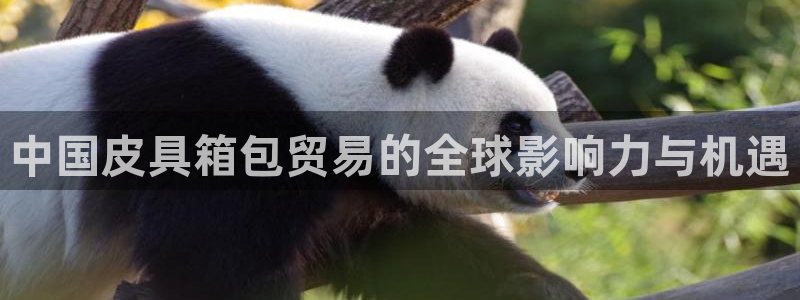 富邦娱乐 www.3806.com