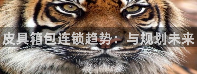 富邦娱乐大厅优惠活动