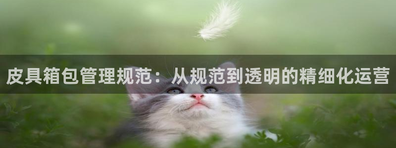 富邦娱乐网址是