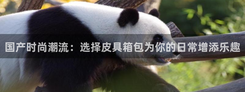 富邦娱乐官网
