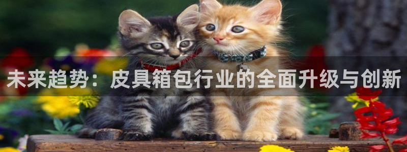 杭州临平富邦娱乐厅