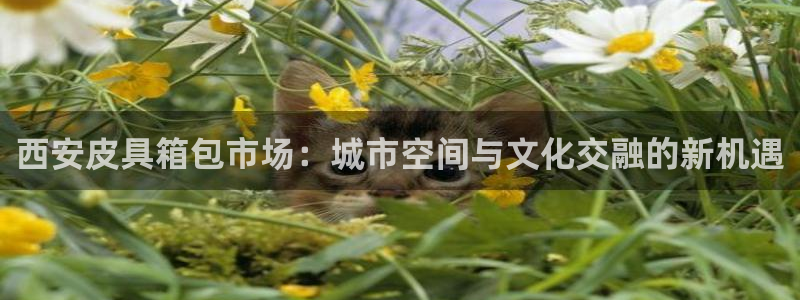 富邦翡翠娱乐会所地址