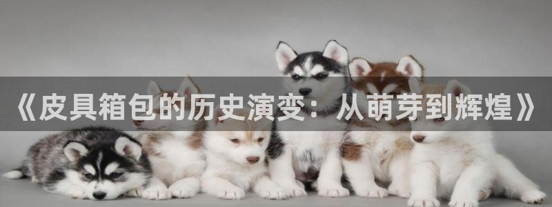 富邦翡翠娱乐怎么样知乎