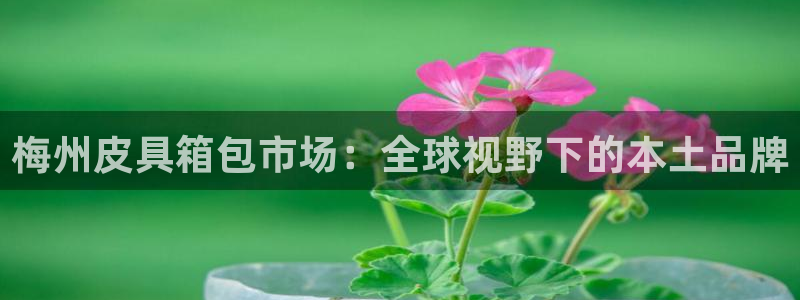 富邦娱乐充值
