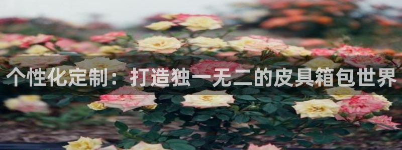 菲律宾富邦娱乐