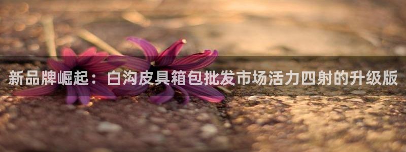 上海邦富娱乐