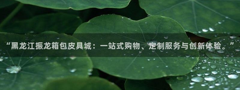 富邦娱乐官网最新网址
