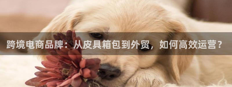 富邦娱乐官网 全礴网