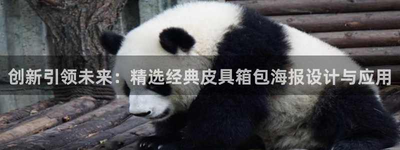 邯郸富邦娱乐地址