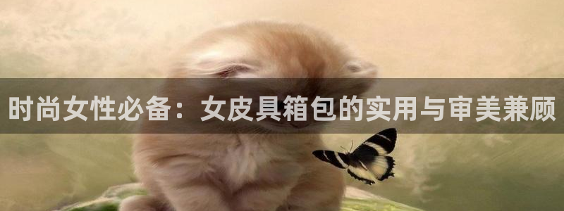 富邦娱乐城999