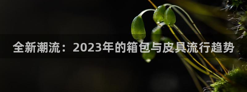 富邦娱乐团购卡怎么用啊
