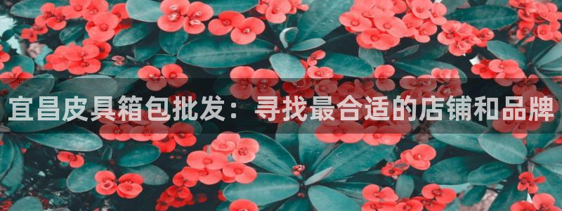 富邦娱乐花花公子