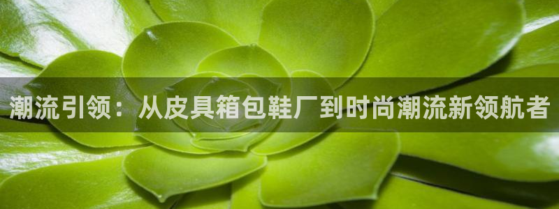 杭州临平富邦娱乐厅地址