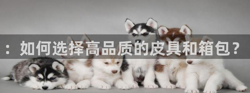 富邦娱乐团购怎么样