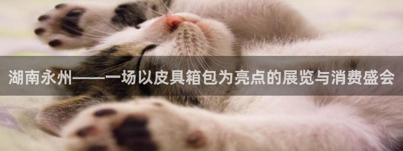 富邦娱乐官网最新网址
