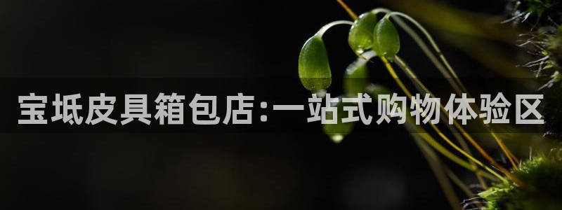 富邦娱乐 全礴网