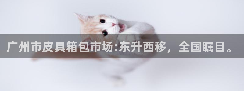 富邦娱乐登入