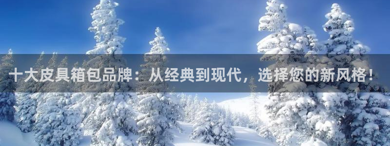 富邦体育娱乐
