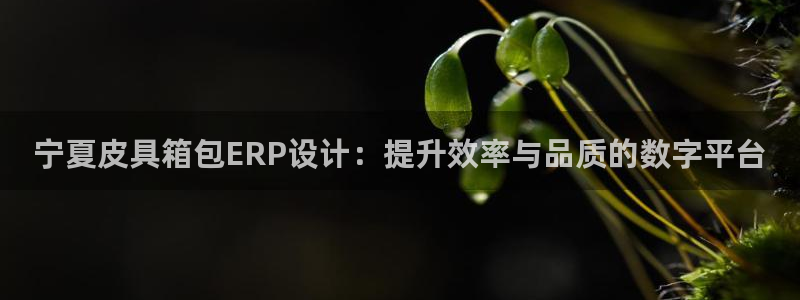 富邦娱乐