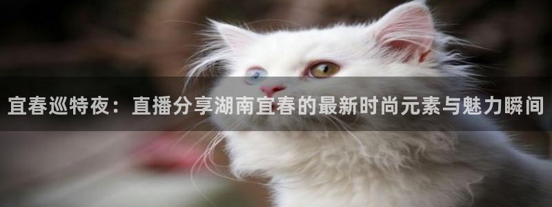 富邦天日娱乐有限公司